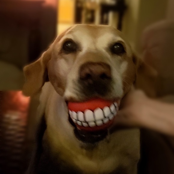 Meet your Posher, Kristin - Picture 2 of 4